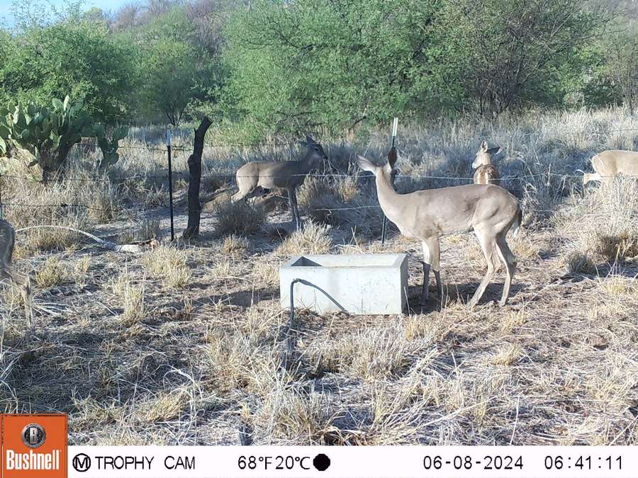 PHOTO-2024-06-10-15-00-55 4.jpg